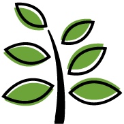 Agro-millora Producao E Comercio de Mudas Vegetais LTDA