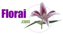 Frigorifico Florai