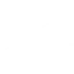 Cooperativa de Producao Agroindustrial do Projeto Maria Tereza