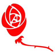 Rosa Mistica de Jesus Almeida E Outro
