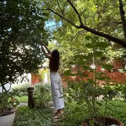 Carolina Lucia Bohorquez Moreno Con Establecimiento de Comercio Agua Celestial