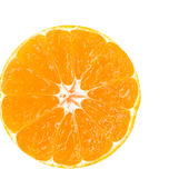 Santa Fruta