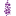 Anapqui - Asociacion Nacional de Productores de Quinua