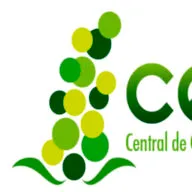 Quinua Bolivia Exportadora