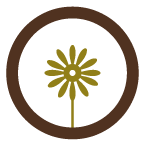 Agririo Tecnologia Agricola LTDA