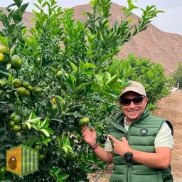 Frutos Peruanos Caleb S.A.C.