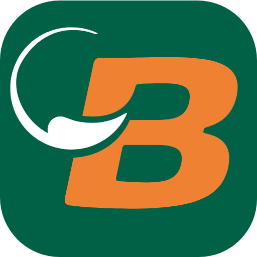 Bullmark SRL