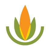 Southern Seeds Production S A