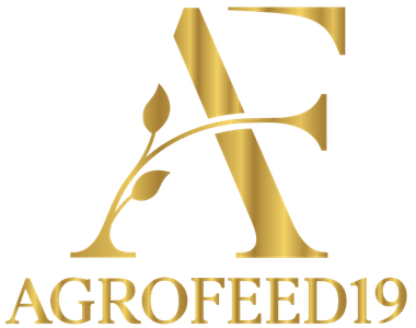 Agrofeed19 S R L