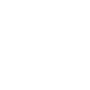 Agropecuaria Nossa Senhora Aparecida LTDA.