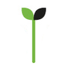 Nexus Agri S A