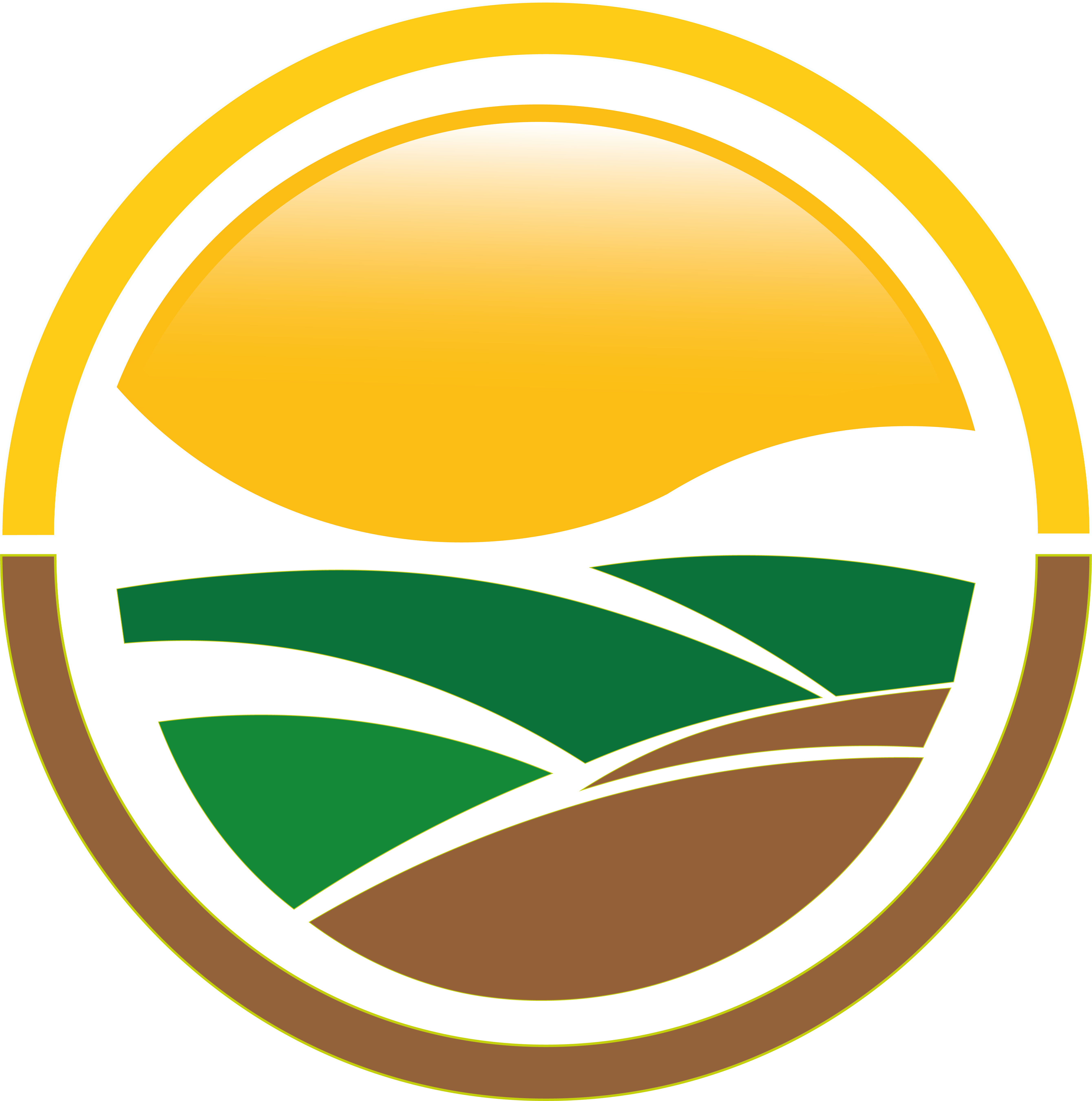 Agropecuaria Fazenda Sol Nascente LTDA