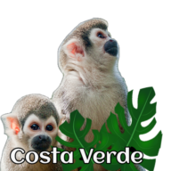 Agropecuaria Costa Verde
