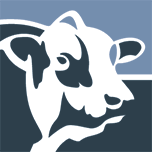 Cattle Agropecuaria LTDA