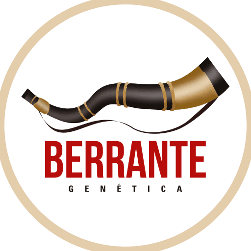 Agropecuaria Berrante LTDA