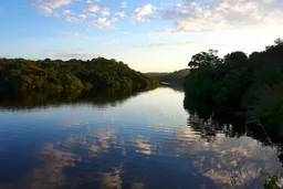 Aromas Y Sabores del Amazonas
