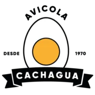 Avicola Cachagua SPA