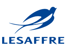 Saf Mex SA de CV