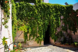 Tortilleria Don Porfirio