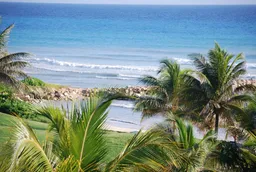 Tortilleria la Flor de Jamaica