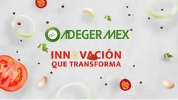 Adegermex SA de CV