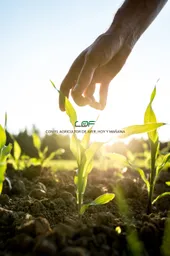 Lof Agro de Guasave SA