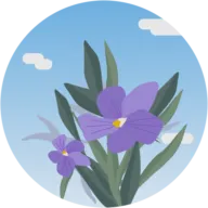 Flores Y Plantas de Calidad Sapi de CV SA de CV