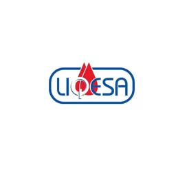 Liqesa SA de CV