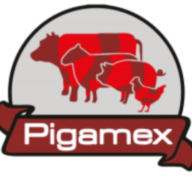 Pigamex SA de CV