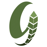 Gluten Y Almidones Industriales SA
