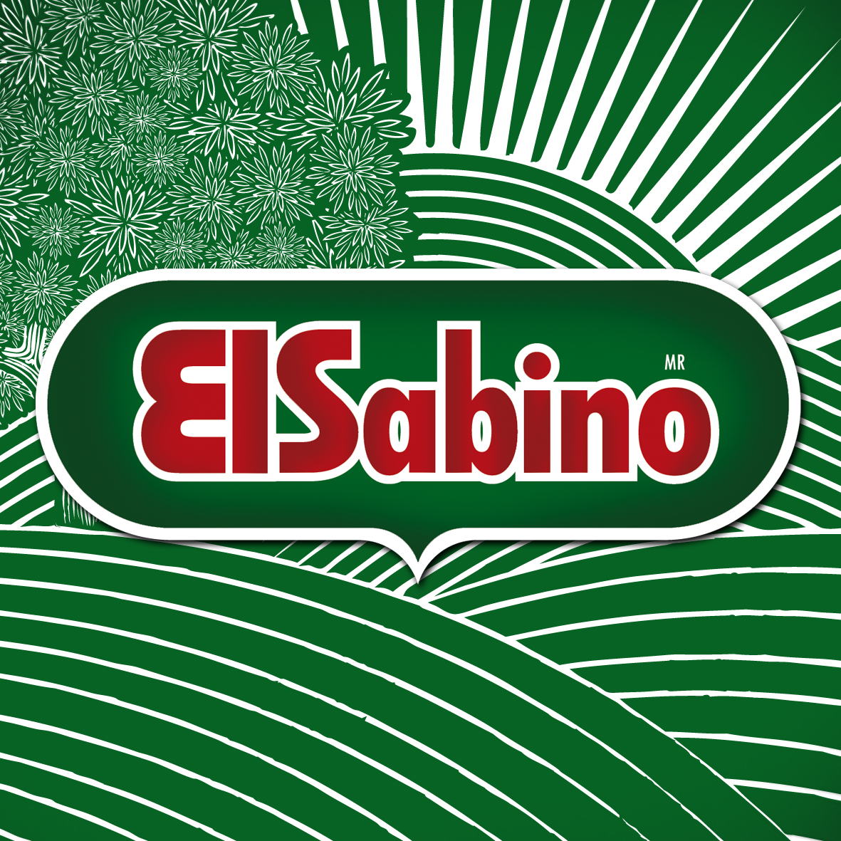 Derivados Lacteos el Sabino SA