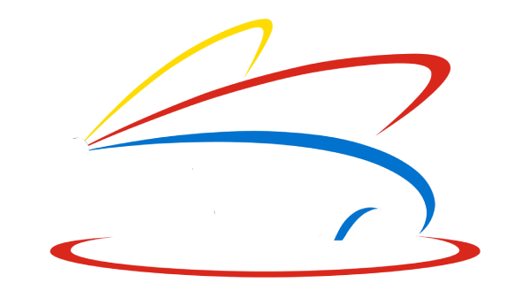 Picsa de Mexico Internacional SA de CV