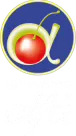 Comestibles Alfa LTDA