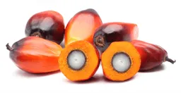 Oleoflores S.A.S.