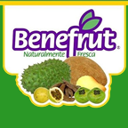 Beneficiadora Mexicana de Frutas Tropicales Benefrut SA de CV