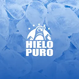 Hielo Puro Lgz SAS