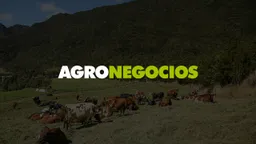 Agronegocios Especializados de Colombia SAS