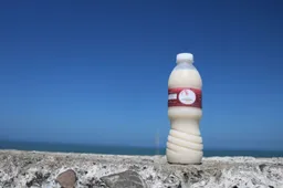 Delicias Momposinas SAS