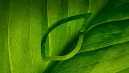 Syngenta Agro S.A.