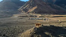 Glencore Agricultural Argentina S.A.