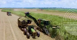 Adecoagro Argentina S.A.