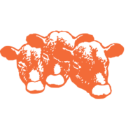 Shorton Argentina S R L