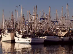 Ocean Garden Products S.A. de C.V.