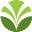 Olam Ecuador S.A.
