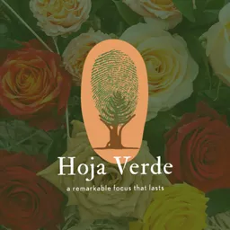 Hoja Verde Gourmet Hovgo S.A.