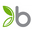 Bambu