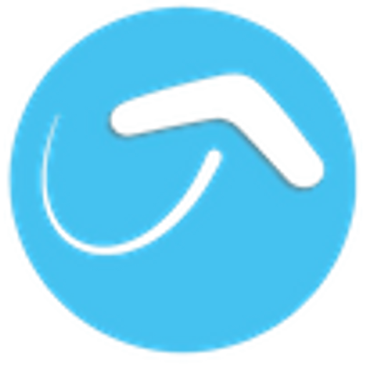 Boomerang Information Services, INC.