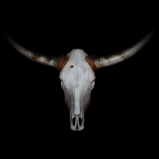 Vier Für Texas Gmbh & CO. Kg