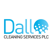Dall Cleaning Services
