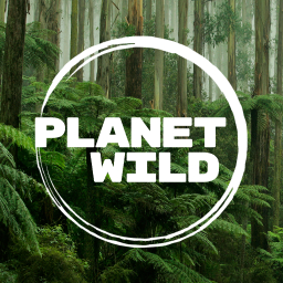 Planet Wild Gmbh